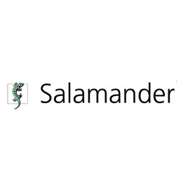Výstuž pre profil Salamander